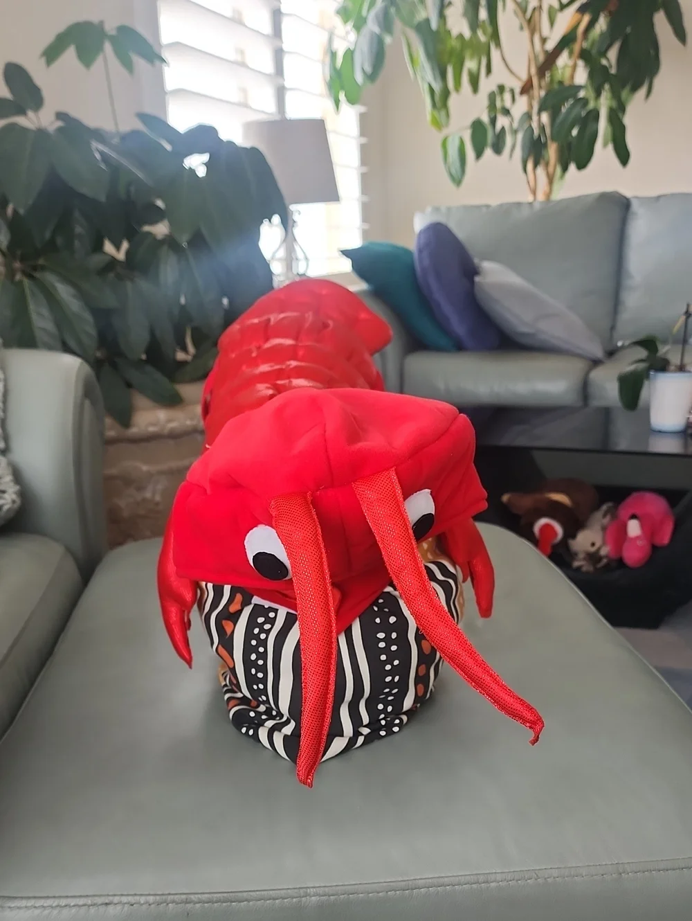 Plush Red Lobster Dog Costume